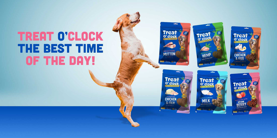 Treat O’Clock: Delicious & Nutritious Moments for Your Furry Friend