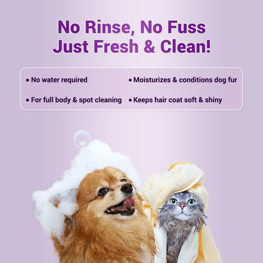 FRESH ME UP - Waterless Foam Cleanser for dogs and cats