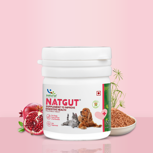 NATGUT - Digestive Supplement For Dog & Cat