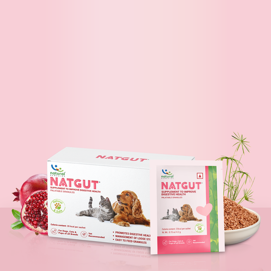 Natgut Sachet (30 Sachets)- Digestive Supplement For Dog & Cat