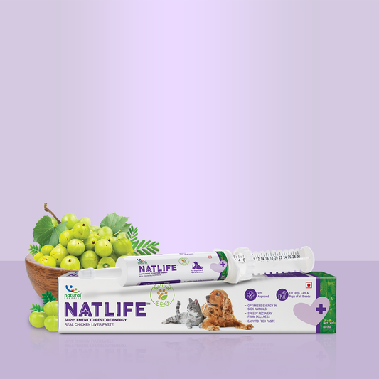 NATLIFE - Energy & Immunity Supplement