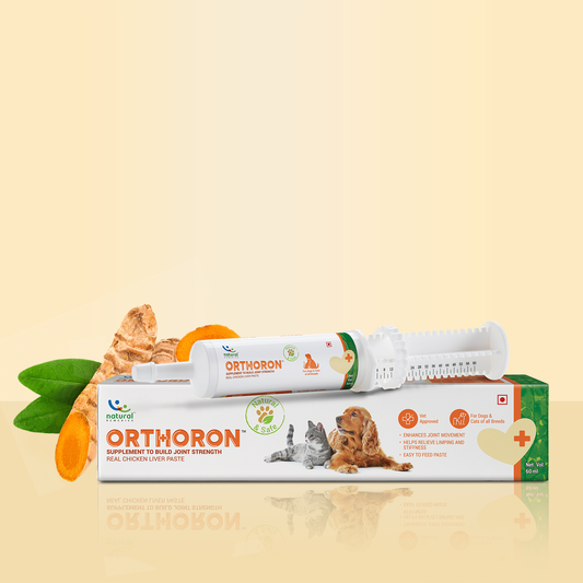 ORTHORON PASTE - Pet Joint Supplements