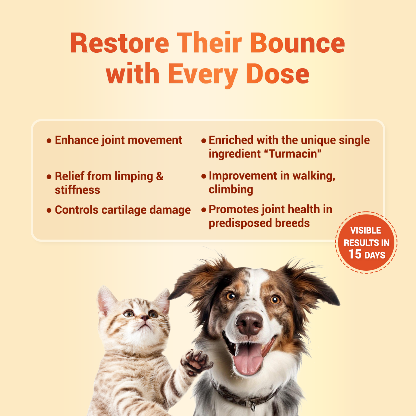 ORTHORON PASTE - Pet Joint Supplements