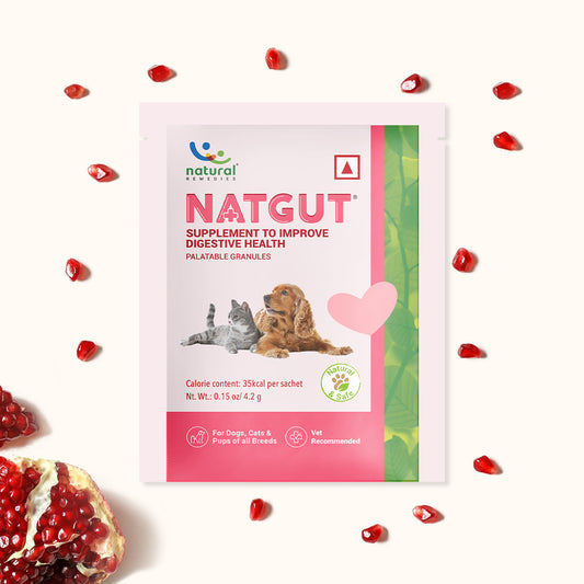 Natgut Sachet (30 Sachets)- Digestive Supplement For Dog & Cat (30 Sachets)