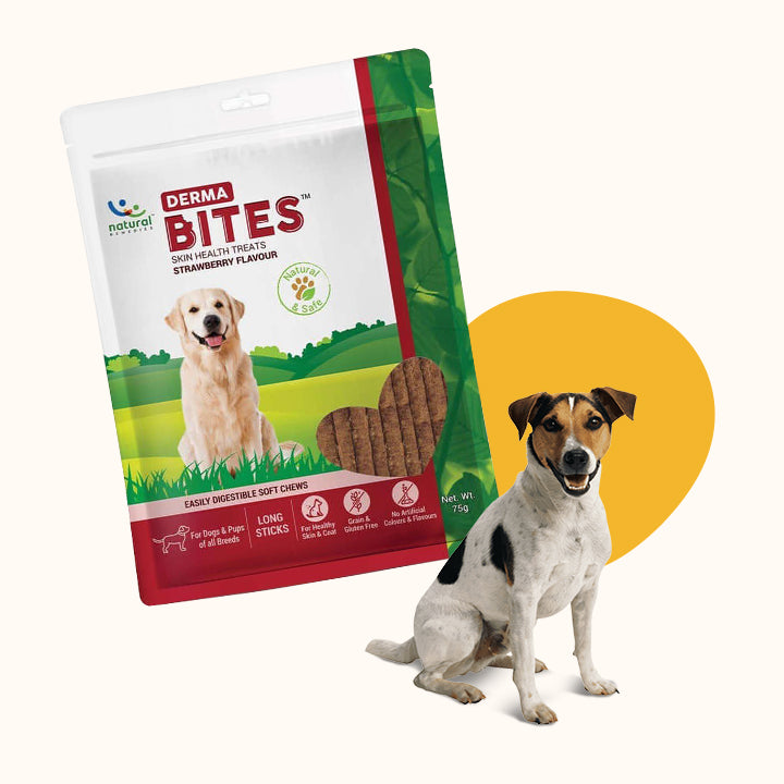 DERMA BITES - For Dogs