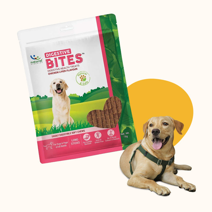 DIGESTIVE BITES - For Dogs