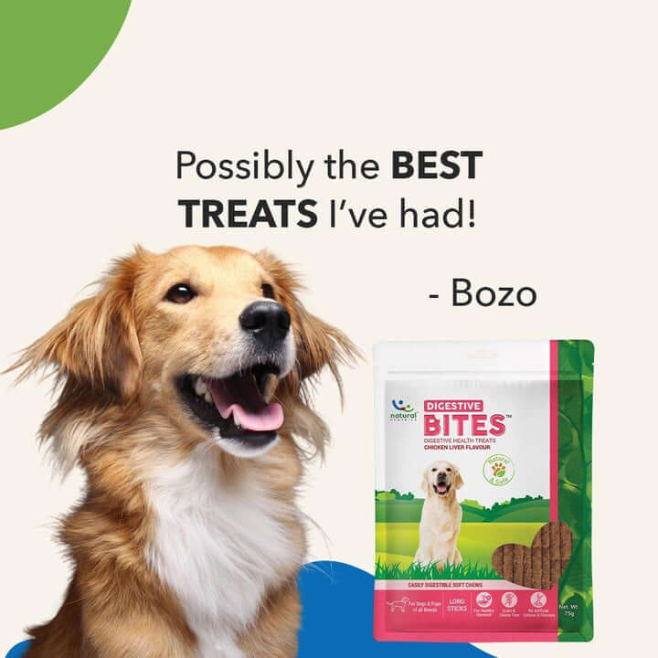 DIGESTIVE BITES - For Dogs