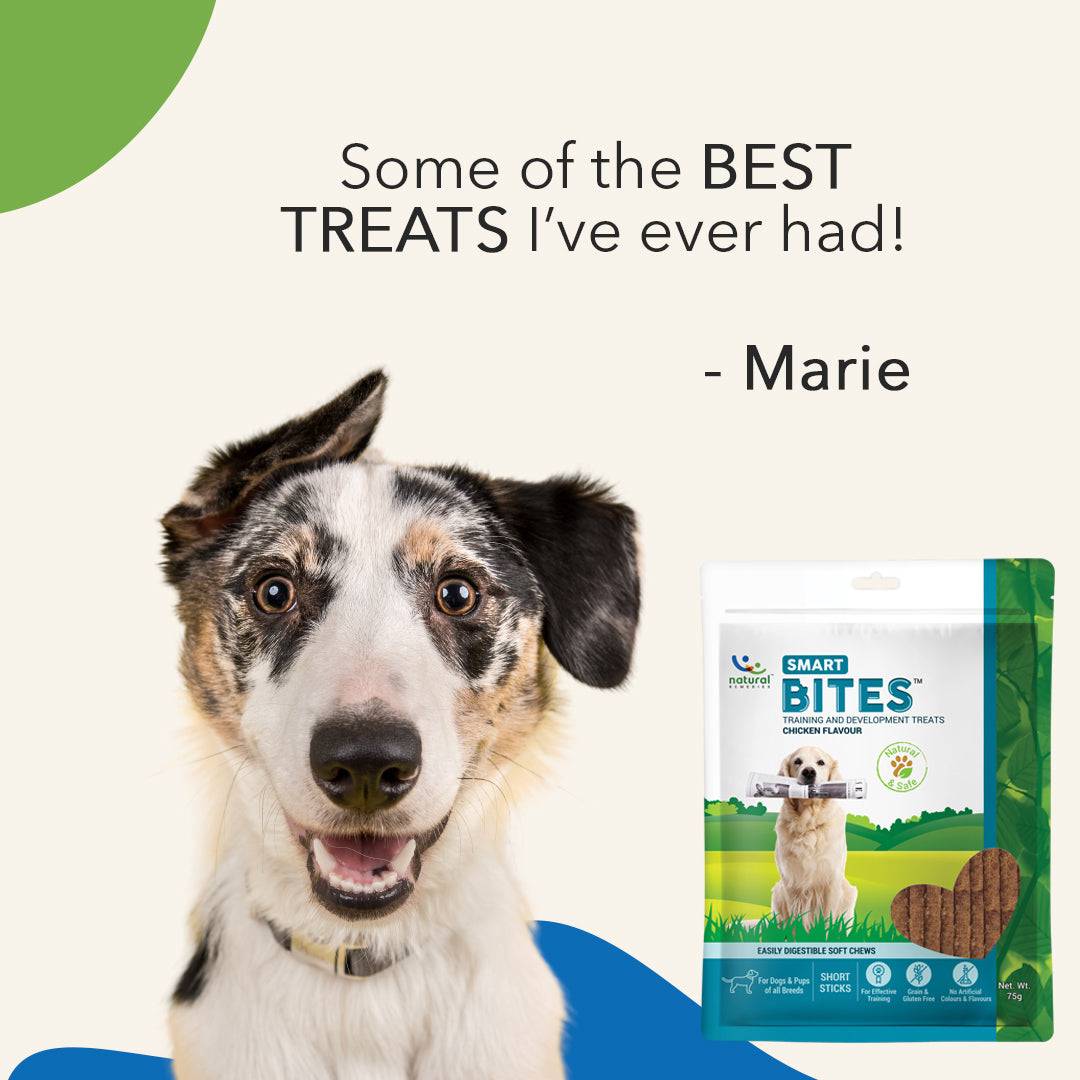 SMART BITES - For Dogs